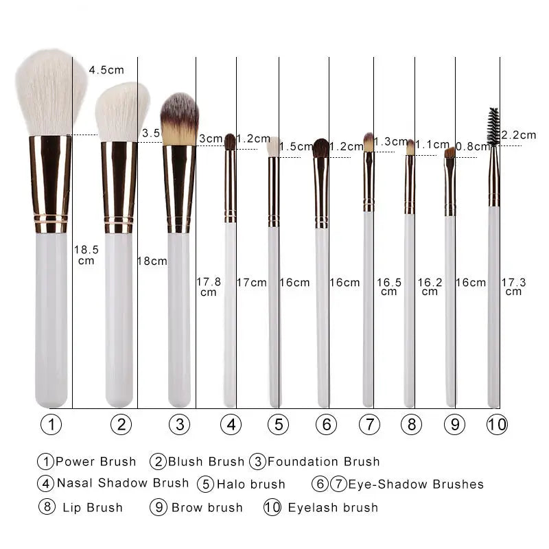 10 Piece Makeup Brush Vanity Set